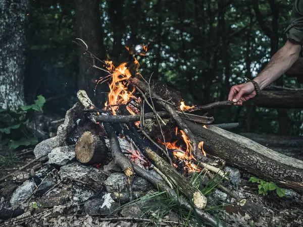 Man hands feeding putting logs firewood on a forest campfire, no face, camping wild outdoors free time holiday