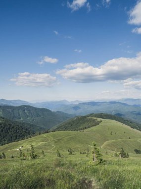 Velka Fatra Milli Parkı 'ndan görüntü. Kralova Studna yakınlarındaki Slovakya 'da panoramik dağ manzarası. Doğanın yaz renkleri