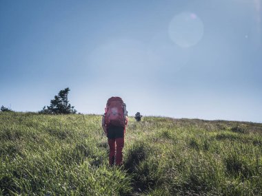 Bir grup yetişkin gezgin yazın bir dağ çayırında yürüyor, açık çim tarlası, yürüyüş aktivitesi, mavi gökyüzü, Fatra Fatry Dağları