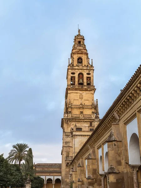 Mesquita Katedrali 'nin, Cordoba Camii' nin, Endülüs 'ün, İspanya' nın, yaz tatilinin ve turizmin avlusu, kolonları ve çan kulesi.