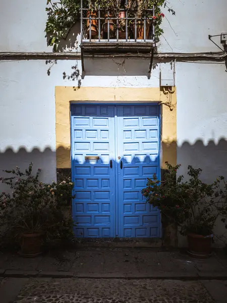 Μπλε Ζωγραφισμένη Ξύλινη Πόρτα Στην Περιοχή San Basilio Της Παλιάς — Φωτογραφία Αρχείου