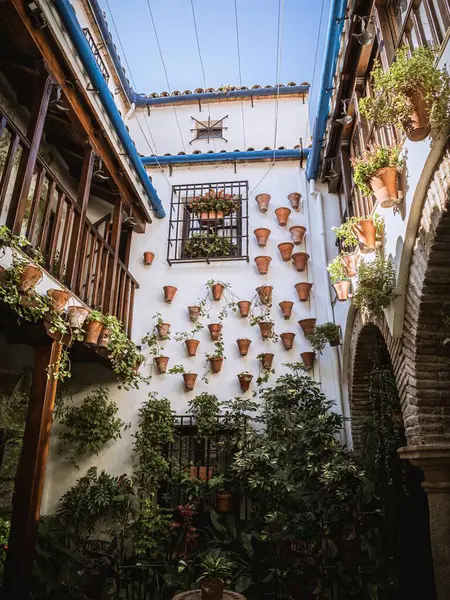 Τυπικό Αίθριο Αυλή Στην Κόρδοβα Ισπανία Εκατοντάδες Γλάστρες Και Πράσινο — Φωτογραφία Αρχείου