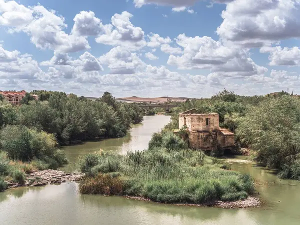 Ruin of the Guadalquivir mills, the Albolafia water mill from the Roman Bridge of Cordoba, calm day with a blue sky and abundant white clouds in Spain