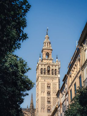 La Giralda 'nın alçak açılı çan kulesi Sevilla şehri, Endülüs, İspanya, yaz, ön plandaki ağaçlar