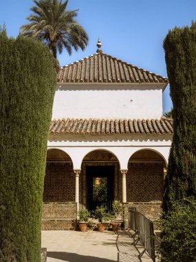 İspanya 'nın Endülüs kentindeki Real Alcazar de Seville bahçelerinde palmiye ağaçları ve binalar