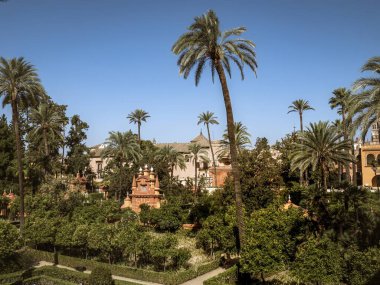 İspanya 'nın Endülüs kentindeki Real Alcazar de Seville bahçelerinde palmiye ağaçları ve binalar