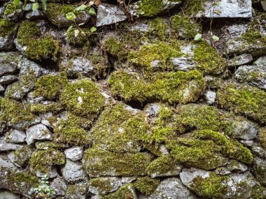 Arka plan dokusu yosunlu taş duvar yakın çekim görüntüsüyle