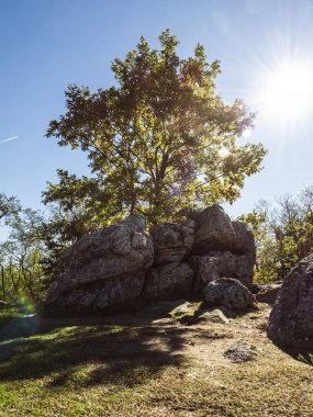 Güneşli bir meşe ağacı parlak güneş ışığıyla aydınlatılan kayalık bir oluşumun üzerinde duruyor. Sahne, doğanın güzelliğini ve berrak bir günün sükunetini yakalar..