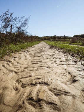 Düşük açılı ıslak kum yolu manzarası yağmurdan sonra kumda izler kırsal bir yol etrafındaki yeşil bitki örtüsü.