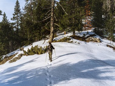 A snowshoer treks through a snowy forest in the French Alps. Snowshoeing is a popular winter activity in regions like the Rockies, Pyrenees, Scandinavia, Japan, and Eastern Europe. clipart