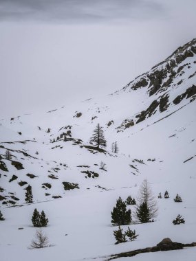 Fransa 'nın Briancon yakınlarındaki engebeli kayalar ve ağaçlarla kaplı, karla kaplı sessiz bir dağ yamacı. Bulutlu bir gökyüzü, kışlık ve sakin atmosfere eklenir.