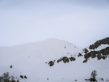 Briancon, Fransa yakınlarında engebeli uçurumları ve dağınık ağaçlarıyla karla kaplı geniş bir yamaç. Minimalist manzara, kışın vahşi doğasının huzurlu güzelliğini vurgular..