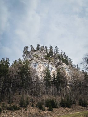 Bulutlu bir gökyüzünün altında, Bavyera 'da sık ormanlarla çevrili engebeli kayalık bir uçurum. Doğal manzara, doğayı keşfetmek için ideal yüksek çam ağaçları ve dik kaya oluşumlarını sergiliyor..