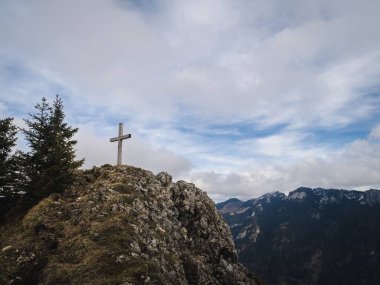 Sırt çantalı bir yürüyüşçü uzun çam ağaçlarıyla çevrili yosun kaplı patika boyunca yürür. Engebeli arazi ve sakin orman huzurlu bir açık hava macera sahnesi yaratıyor..