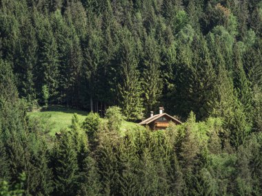Yoğun, yemyeşil bir ormana kurulmuş, yemyeşil yemyeşil bir kulübe ve güneş ışığıyla yıkanmış. Huzur ve yalnızlık arayan doğa aşıkları için mükemmel bir dinlenme yeri..