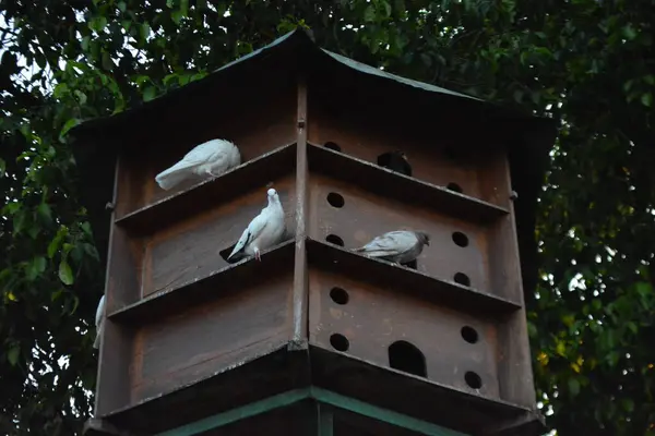 Parkta tahta bir kuş.