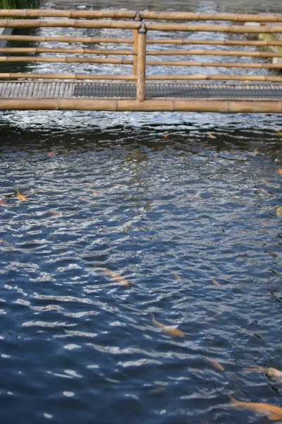 Nehrin üzerindeki tahta köprü.