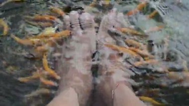 Balık terapisine yakın çekim