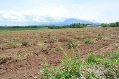 Dağlardaki çiftliğin arazisi.