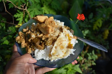 Kızarmış yumurta, kızarmış tavuk, kızarmış tavuk, Tayland yemeği.