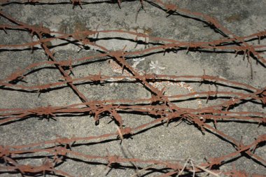 Eski paslı duvardaki dikenli tel.