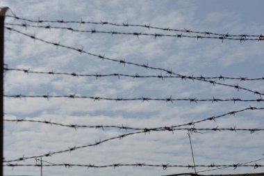 Mavi bir arka planda dikenli telli bir yatak.