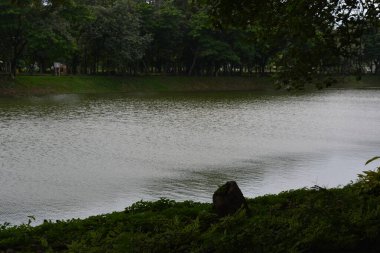 Parktaki güzel göl
