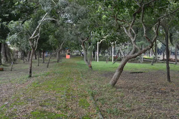 Parkın güzel manzarası