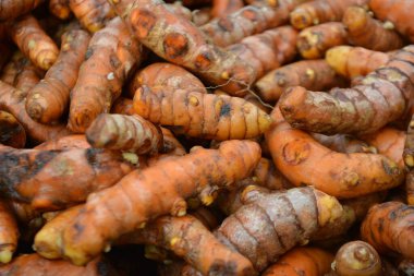 Piyasada taze ve sağlıklı zencefil