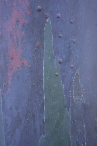 Eski paslı metal dokusu