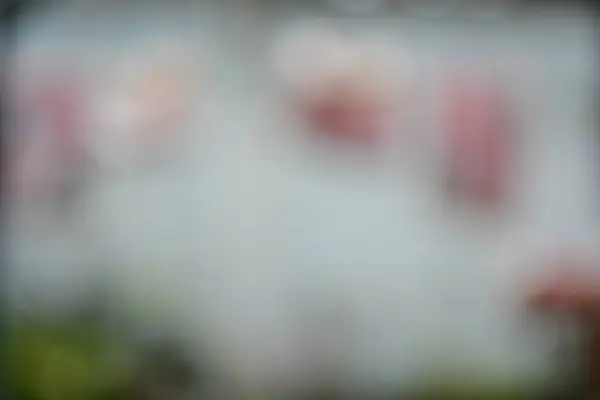 Renkli Noel ışıklarının soyut arkaplanı