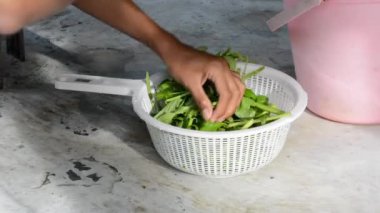 Markette taze yeşil fesleğen yaprakları