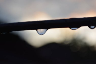 Bardağa su damlatıyor.