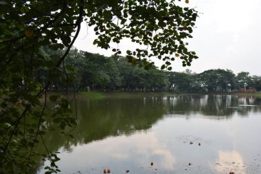 Göllü güzel bir manzara.
