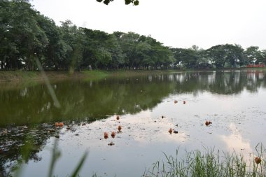 Nehir ve gölü olan güzel bir manzara.