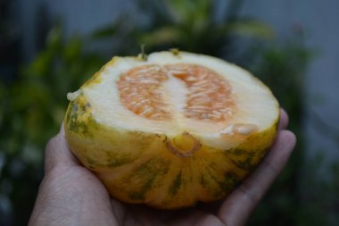 Taze portakal meyvesi masada.