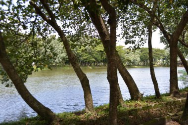 Parkın güzel manzarası