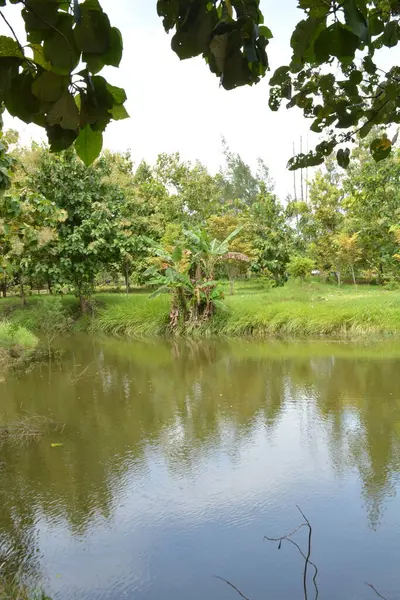 Parktaki nehrin güzel manzarası