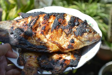 Balık ve ızgara balık.