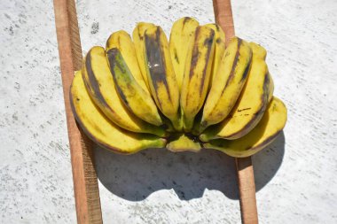 Tahta sopada bir avuç muz.