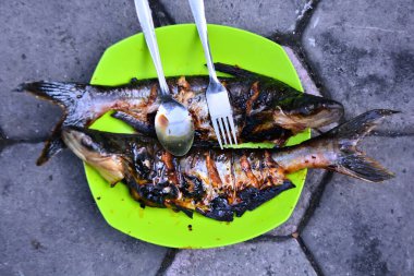 plaka üzerinde ızgara balık