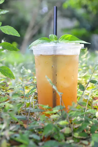 Limonlu buzlu çay ve bardakta nane.