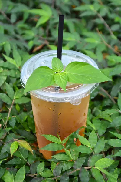 Masada yeşil yapraklı buzlu çay.