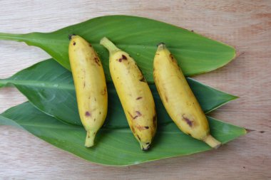 Beyaz arkaplanda muz yaprağı izole