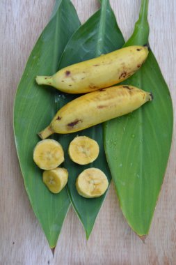 muz yapraklı muz