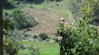 Dağlardaki pirinç tarlaları