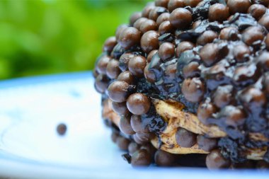 Siyah beyaz çikolataya yaklaş.