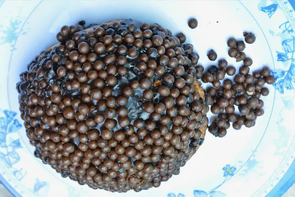 Çikolatalı ve fındıklı kahve çekirdeği