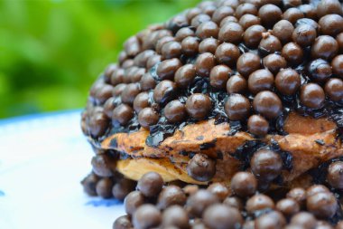 Çikolata parçacığını kapat