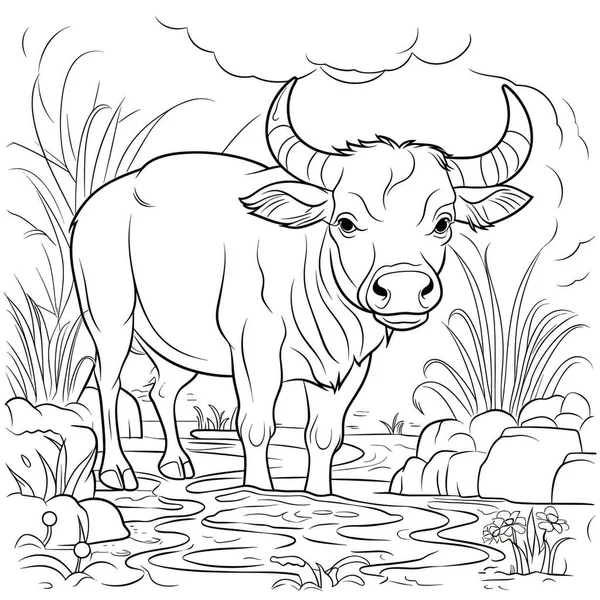 Buffalo Animal Coloring Page Kids — Stock Photo, Image